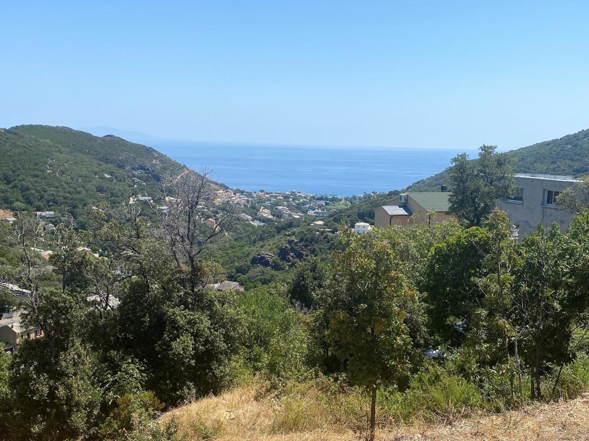 U Cavallu - Luxe Entre Mer Et Montagne Santa-Maria-di-Lota Exterior foto